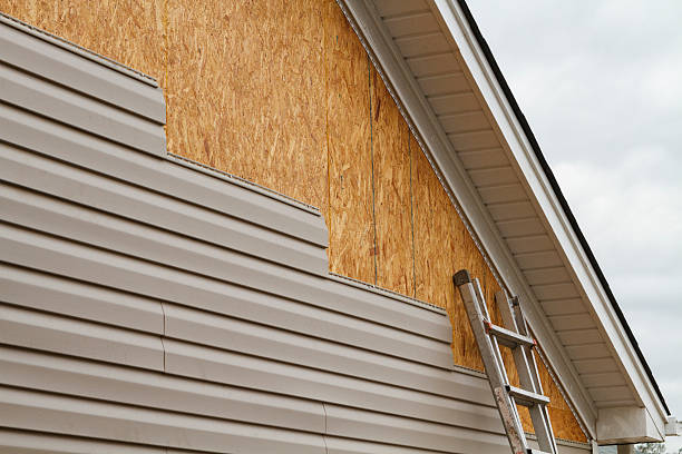 Professional Siding Repair technician working in Philo, IL